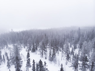 Aerial view of a frozen forest with snow covered trees in Idre, Sweden during a morning with low hanging clouds and fog in winter. 
