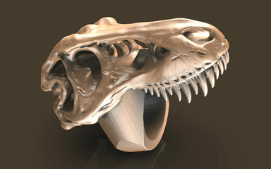 Fototapeta premium skull on black background
