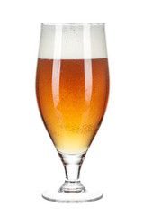 Glass of beer isolated on a white background