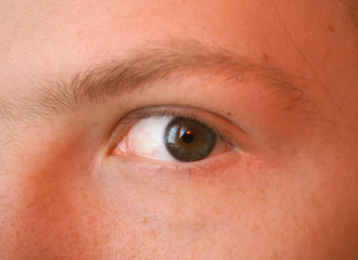 eye