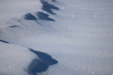 Schneeglanz