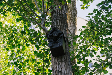 beautiful birdhouse for birds hanging on a tree