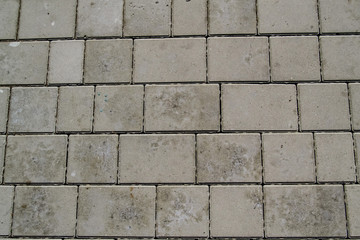 Gray brickwork on the road in the park close up