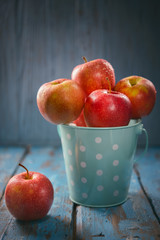 Apples in a bucket