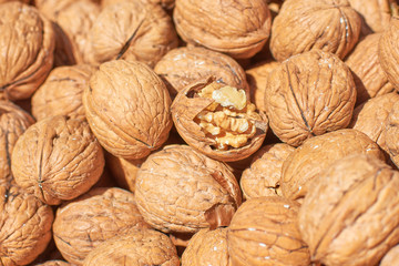 split walnut on the background of whole nuts, concept: shared, fragility, originality
