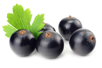 black currant with green leaf isolated on white background. macro