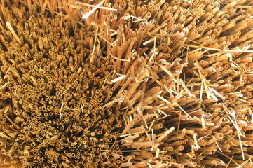 Lublin © M. G. Koperkiewicz