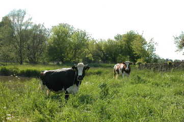 Lublin © M. G. Koperkiewicz