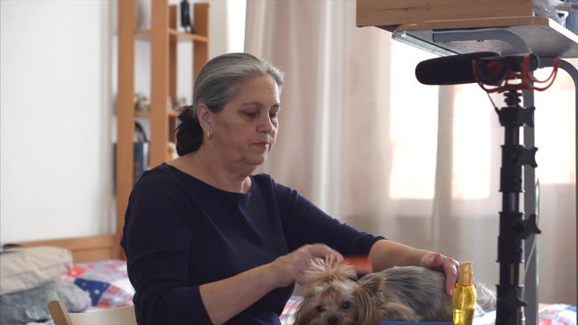 Senior Woman doing video blog about her dog, wonam periodically looking on cam. Blogging and animals concept.