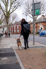 Young couple with a child walking a dog on the street