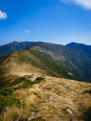 Fototapeta na wymiar On top of the Mountains. Landscape in the European Carpathians.