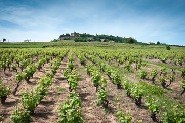 Vue sur la colline du château de Montmelas dans le Beaujolais
