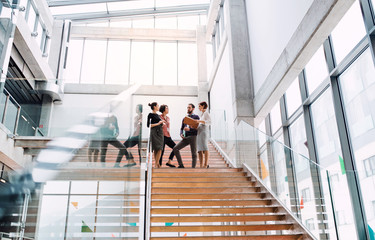 Group of young businesspeople standing on a staircase, talking. - Powered by Adobe