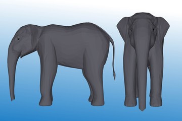 elephant isolated on white background