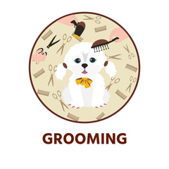 Cute dog  at groomer salon. Pet grooming concept.  Vector illustration for pet hair salon, styling and grooming shop, pet store for dogs and cats