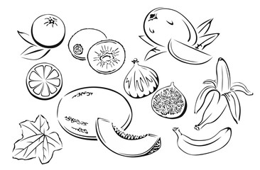 Set of fruits. Black and white image of melon, kiwi, mango, orange, banana, fig. Vector illustration in cartoon simple flat style.