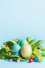 Easter eggs in nest from green leaves on a blue background Copy space