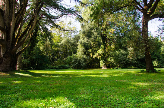 Reggia di Caserta - Giardini