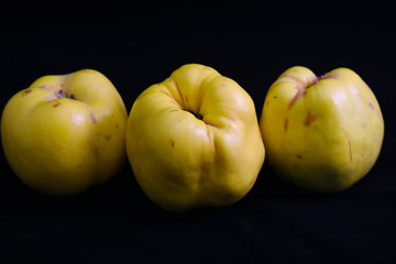 Yellow quince on a black background. Autumn fruit. Close-up