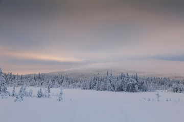 Panorama of winter snowy landscape with forest and mountain, Paanajärvi, Karelia, Russia