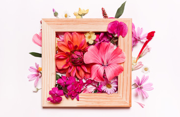 Coral pink flowers in frame.