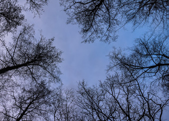 sky