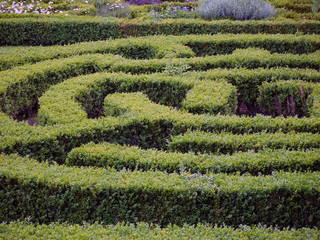 Low hedge maze, Clarke Hall, Wakefield