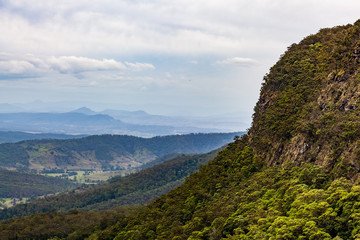 Fototapeta na wymiar Forest growing on cliffs and hills in Queensland, Australia