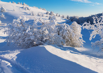 Winter landscape on a mountain top. Trees in the snow. Mountain peak, blue sky and winter sun.