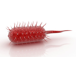 3d rendering Virus bacteria cells background