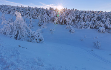 Winter landscape on a mountain top. Trees in the snow. Mountain peak, blue sky and winter sun.