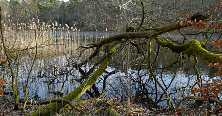 retzbergweiher