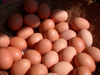 schöne eier