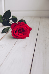 Red rose on white wood  vertically
