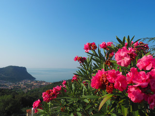 Der herrliche Ausblick über dem Garasee