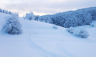 Winter landscape on a mountain top. Trees in the snow. Mountain peak, blue sky and winter sun.