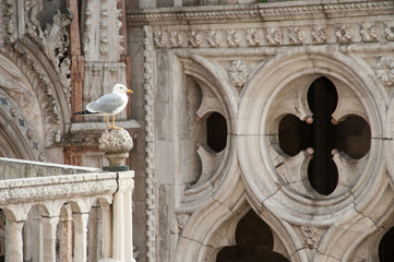 Venice Venedig Italien