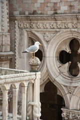 Venice Venedig Italien