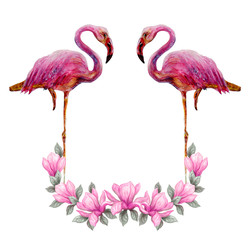 Two pink flamingos stands in floral frame of magnolia flowers isolated on white background. Hand drawn painting watercolor paints.