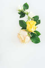 top view of composition with roses on white background