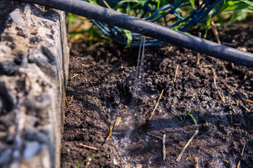 Leaky water from the pipe