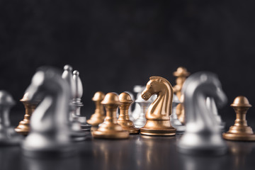 chess knight horse © dimasobko