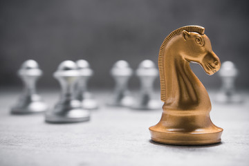 chess knight horse © dimasobko
