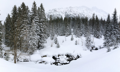 Mountain creek in forest, winter landscape