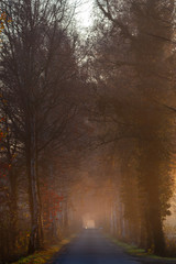 Ein Morgen im Herbst