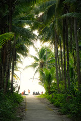 Walkway with palm trees and people on tropical island, Indonesia
