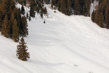 Fototapeta premium Snow tracks at Schuttannen Ski Resort