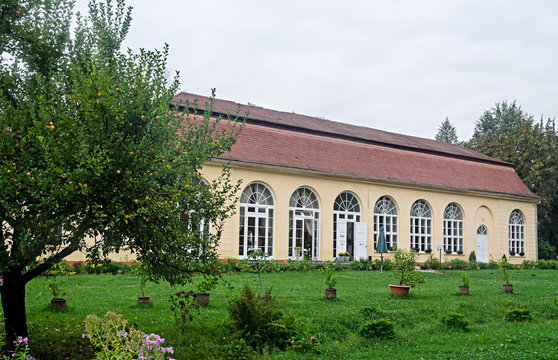 Detail from outdoor garden of The old Palace Brukenthal Avrig.