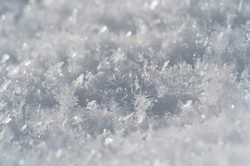 Snowflakes Close Up Abstract