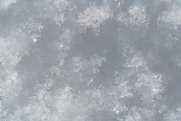 Snowflakes Close Up Abstract